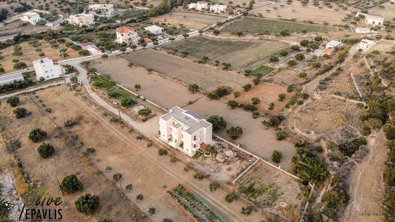 Olive Epavlis Apartment Karpathos Town  Exterior photo